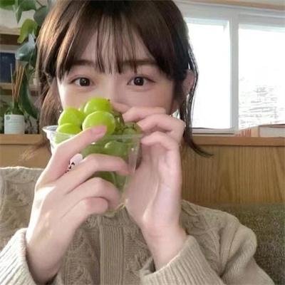 搜索者2021